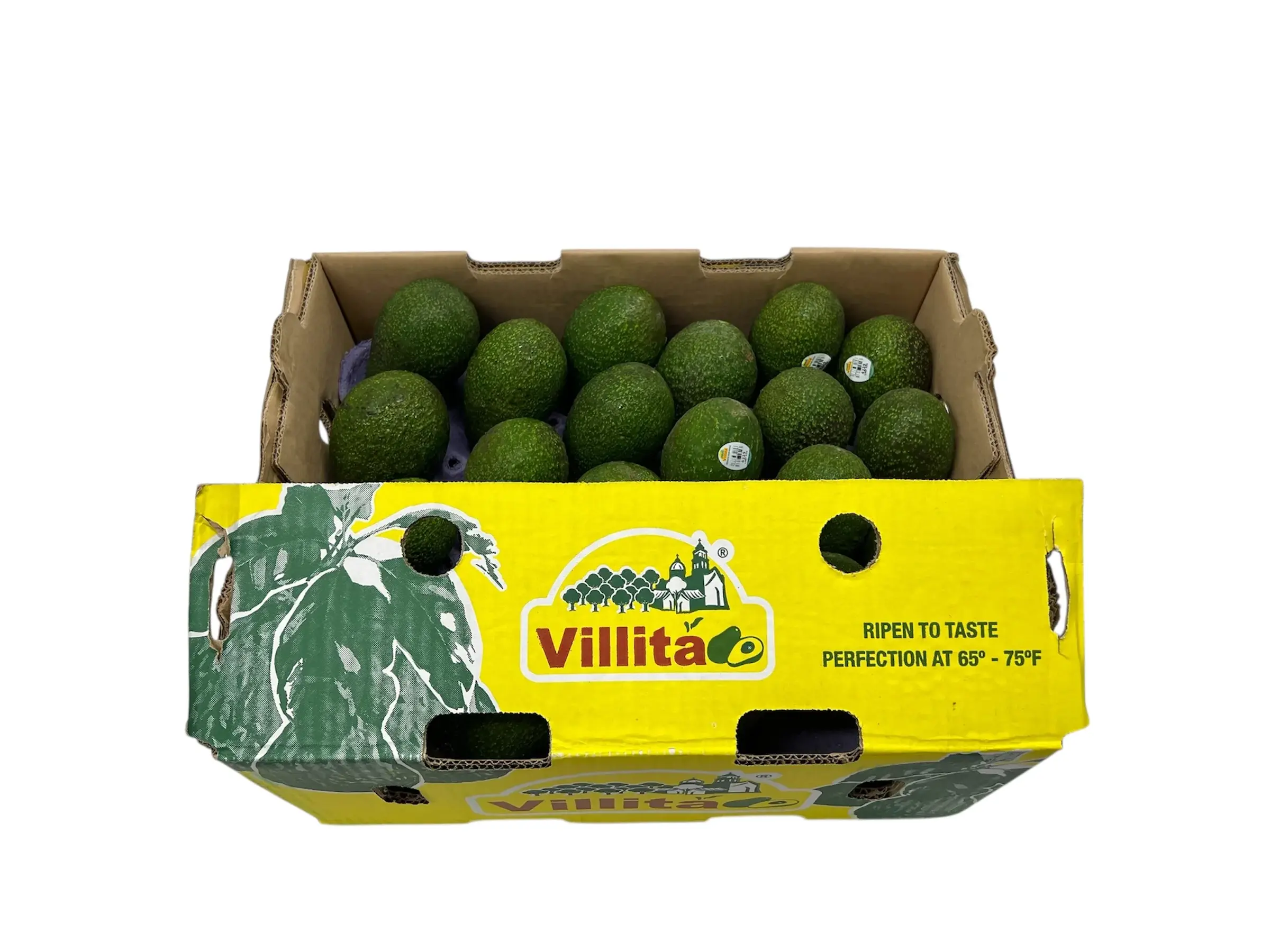 Avocado