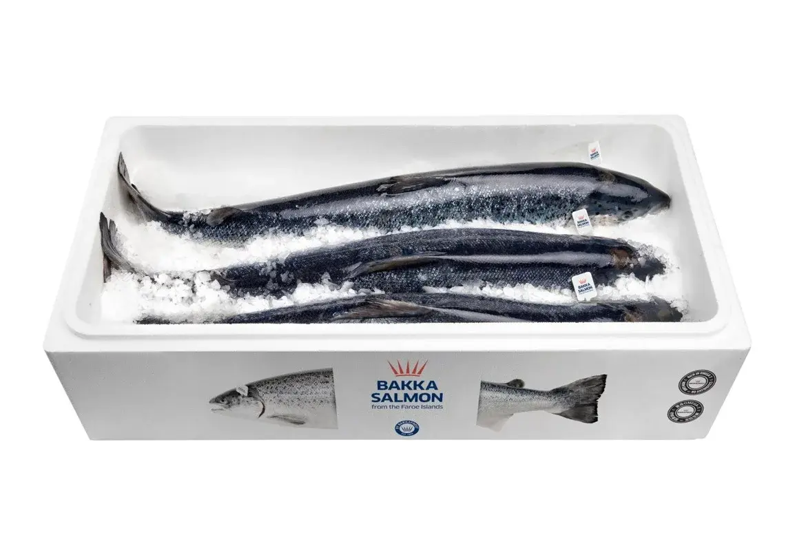 Bakkafrost Salmon