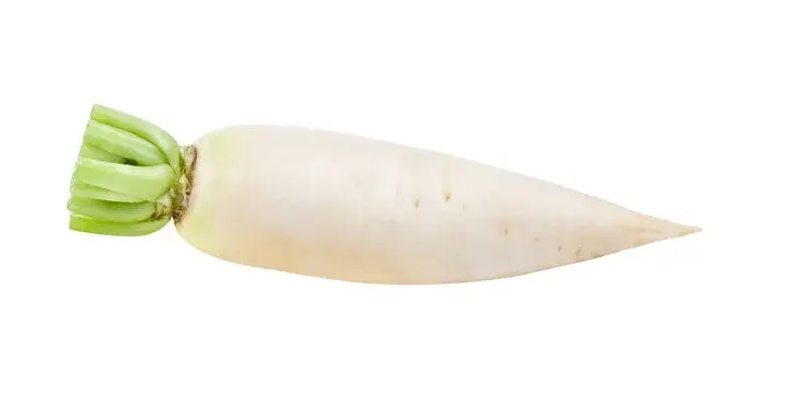 Daikon