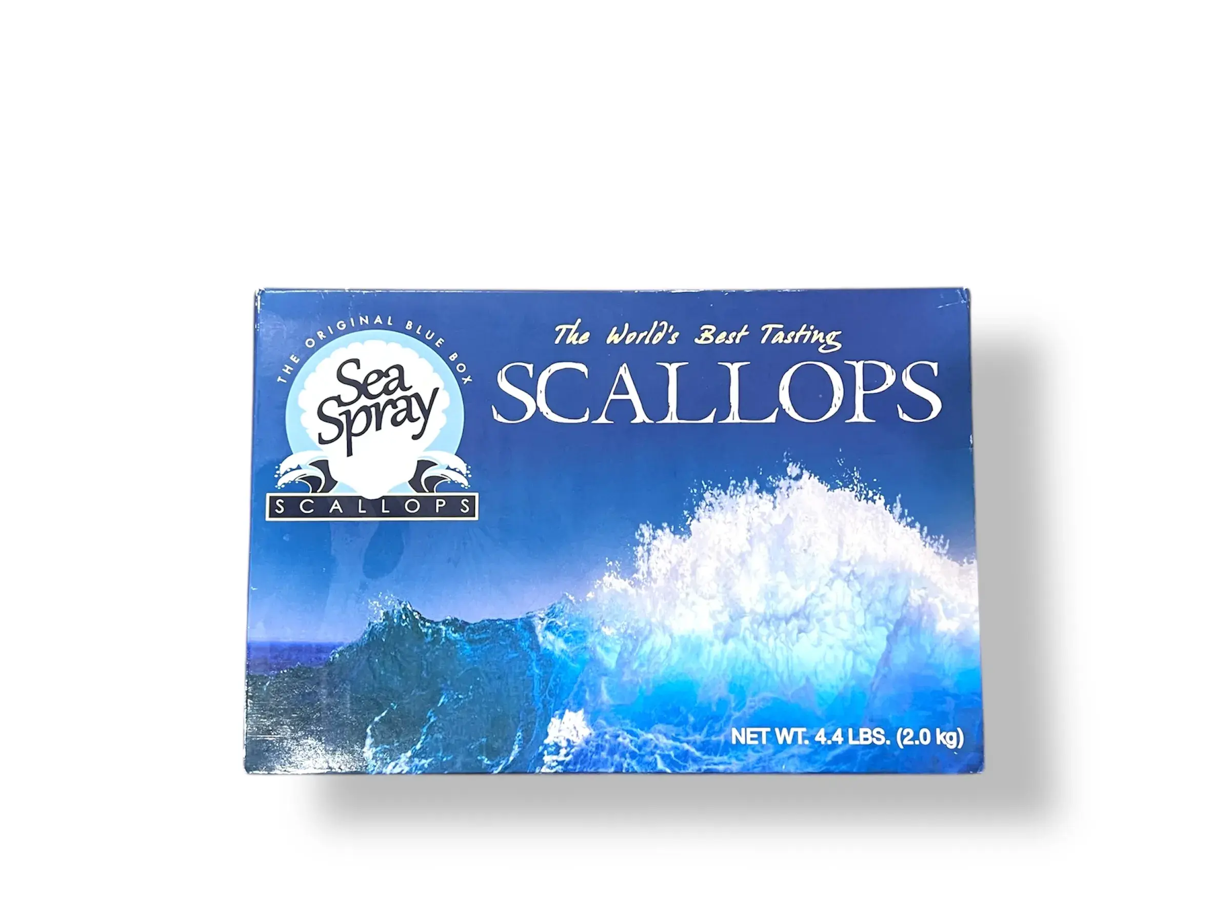 Scallop