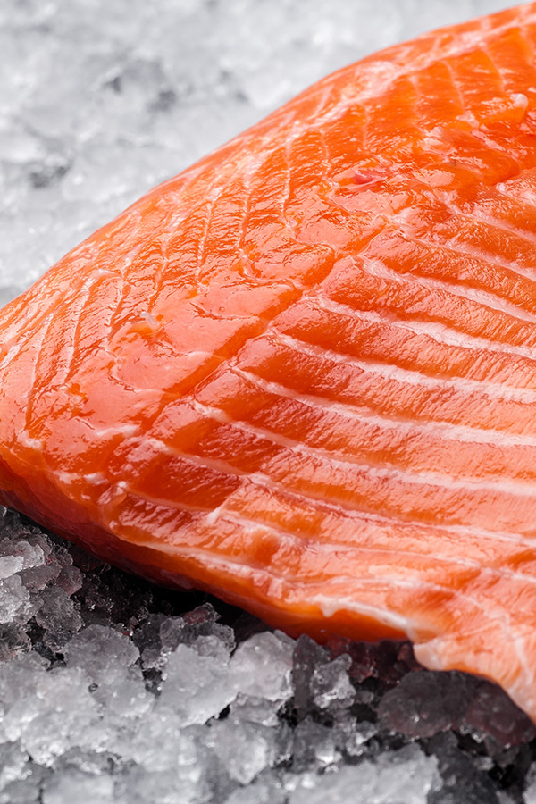 Fresh raw salmon fillet on a bed of crushed ice