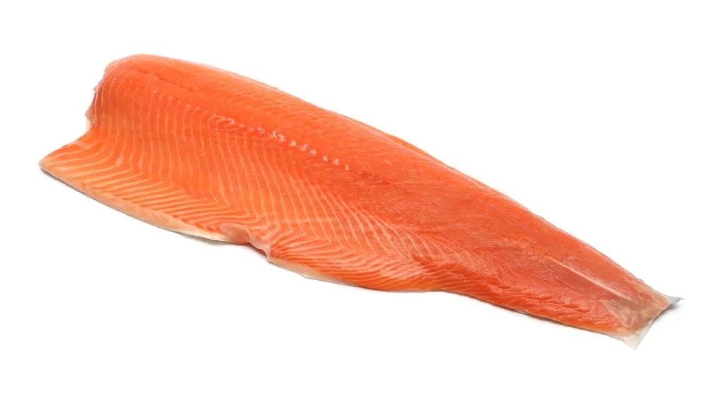 Salmon