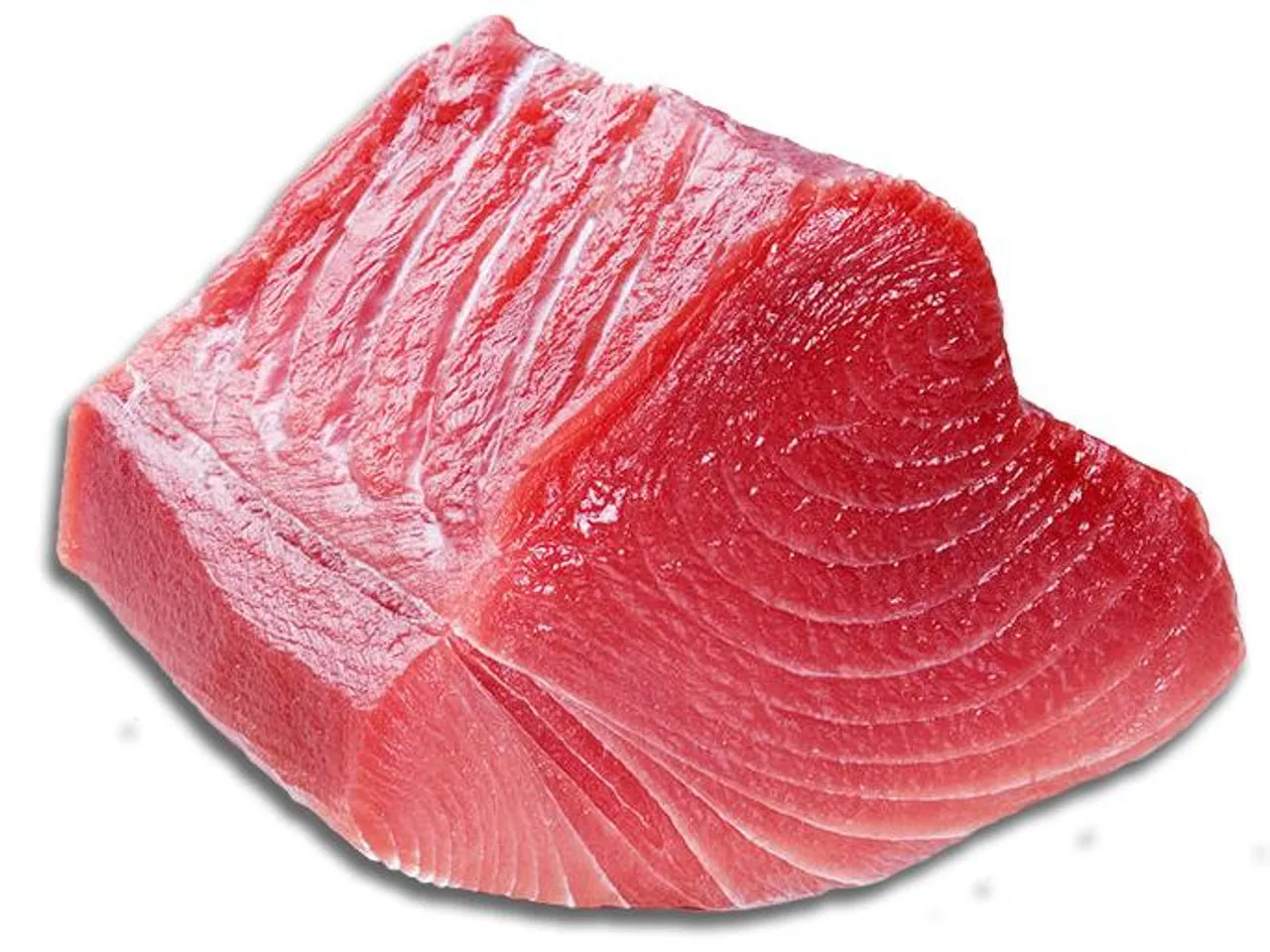 Blue Fin Tuna