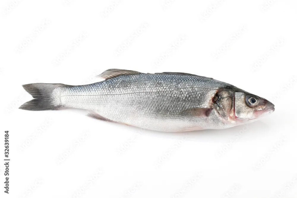 Branzino