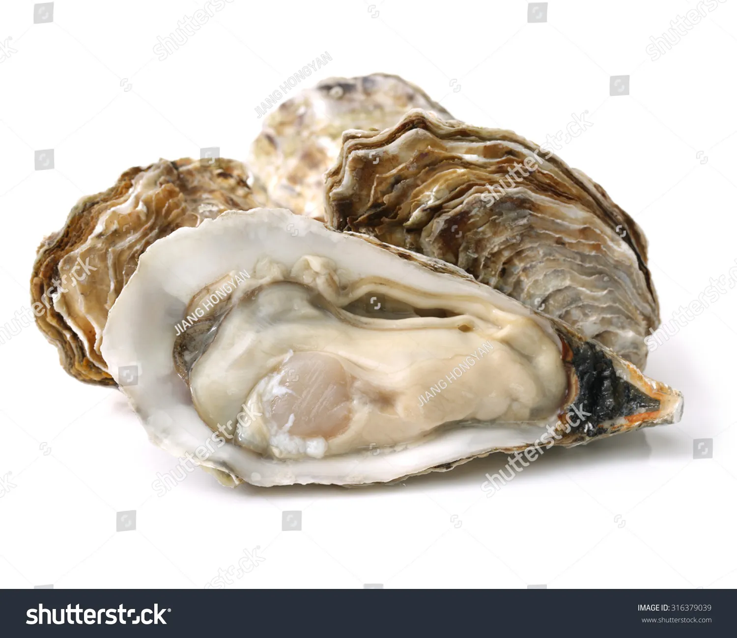 Oyster Ultraviolet