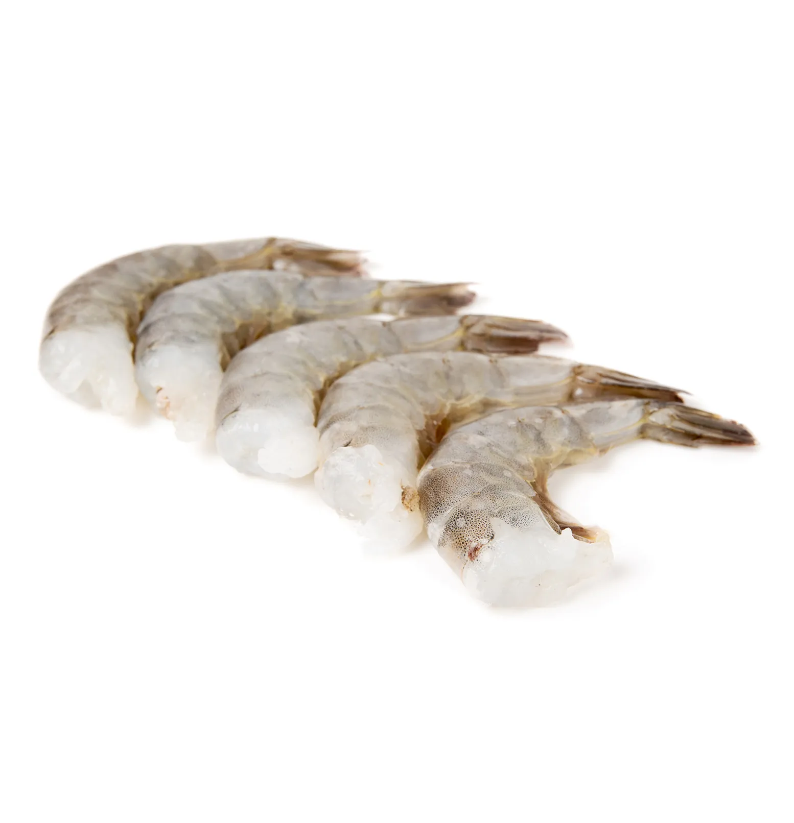 16/20 Ecuador Shrimp