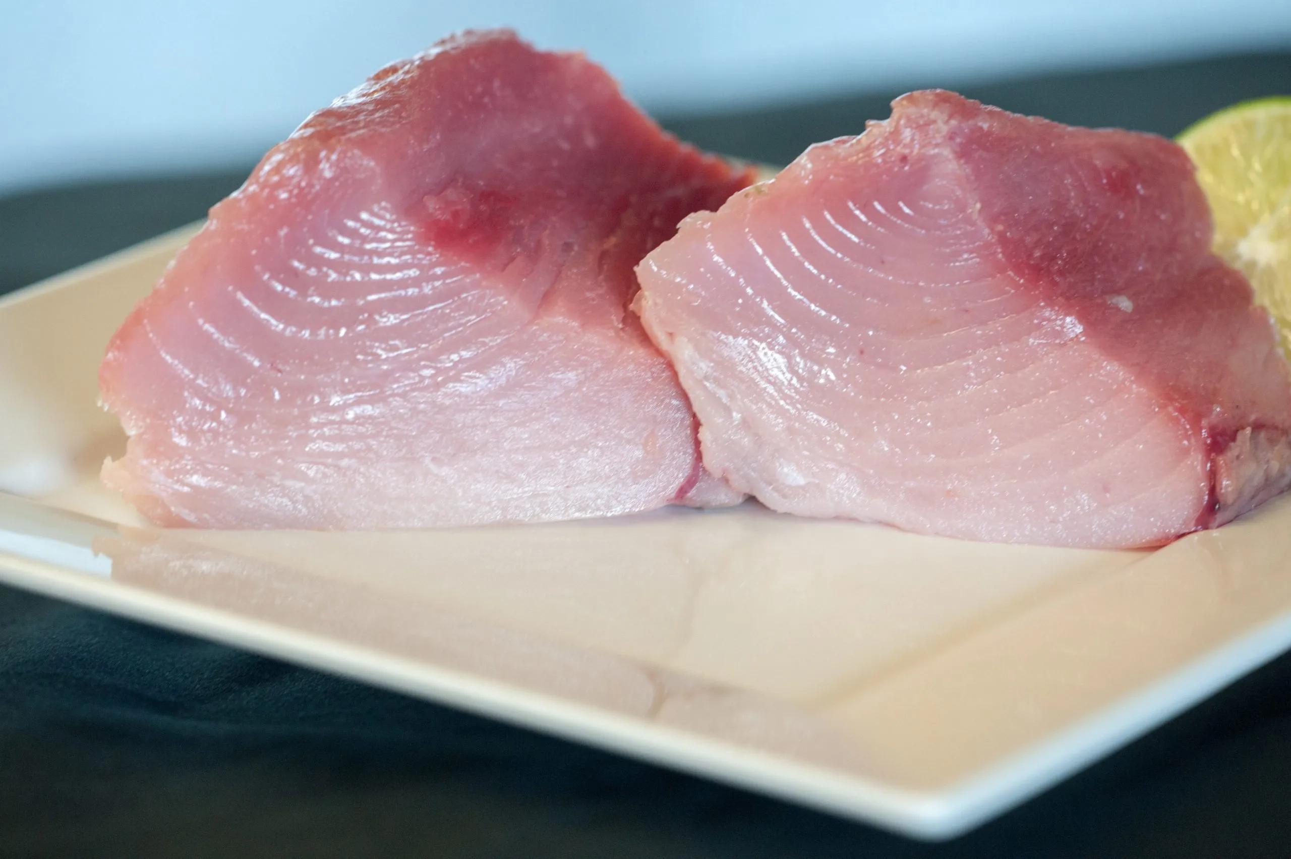 Albacore Tuna 22LB/CS